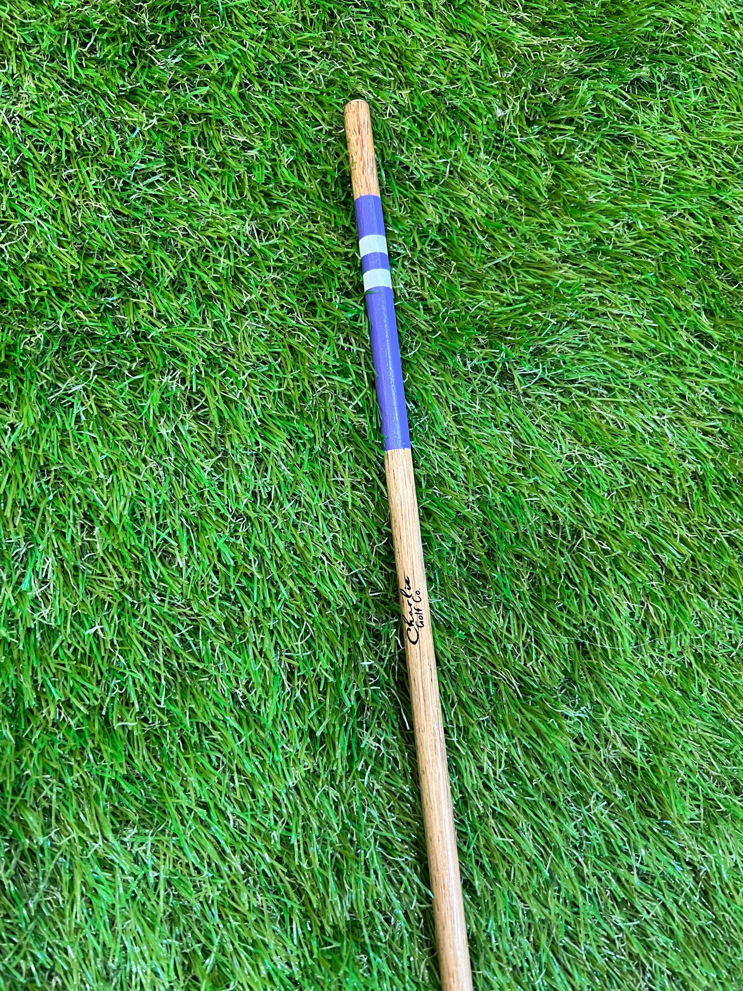 purple kids alignment golf stick
