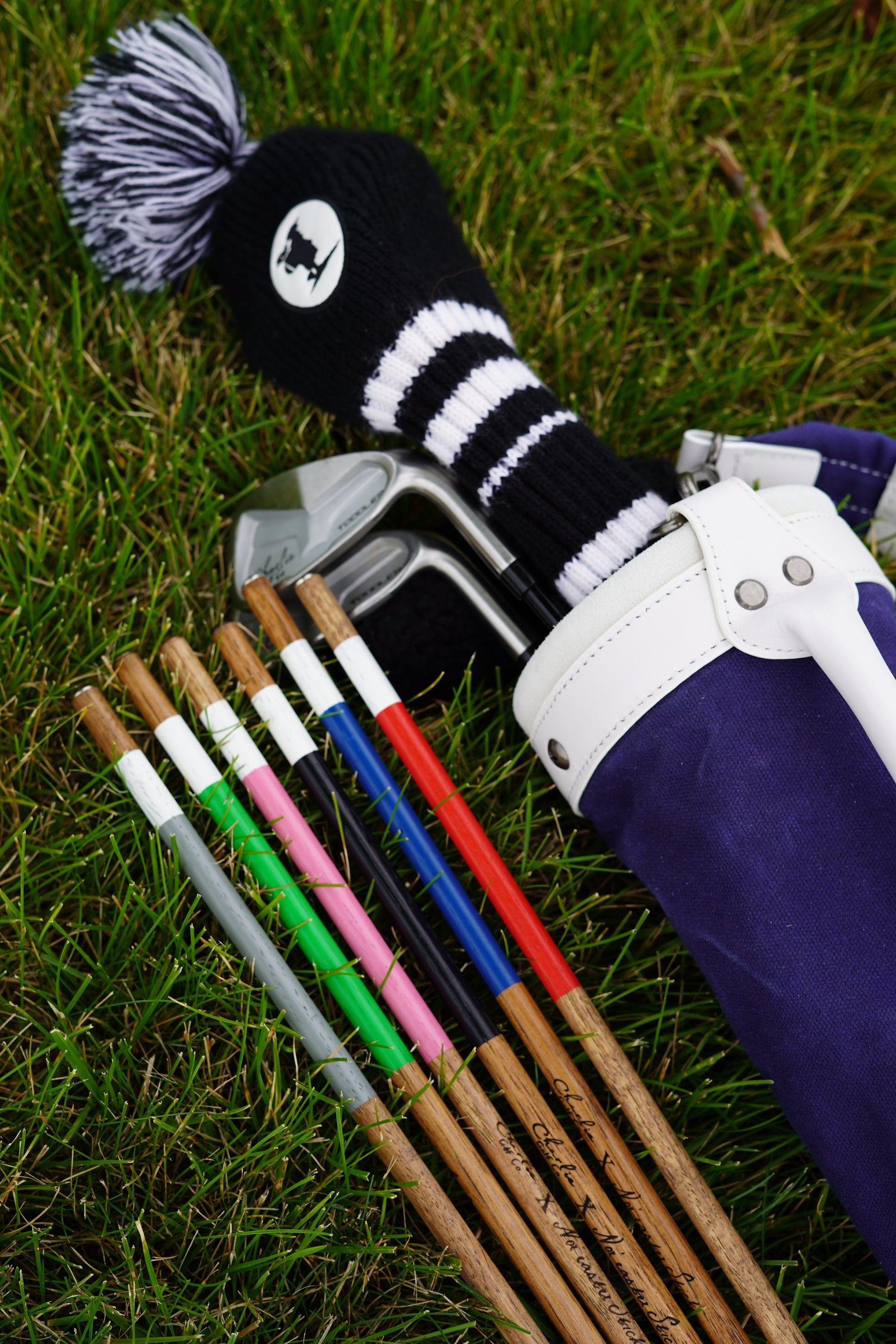 toddler golf set with alignment sticks